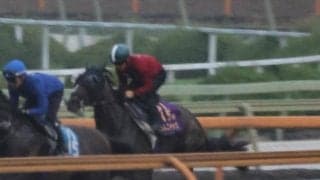 カムニャック、ローズS2週前追い切り速報/栗東トレセンニュース