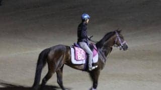 リンクスティップ、紫苑S1週前追い切り速報/栗東トレセンニュース