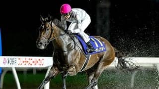 「9戦8勝馬」vs「無傷5連勝馬」 ブリーダーズGCで注目の対決