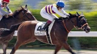 【中京2歳S】フォーウィールドライブ産駒がJRA重賞初挑戦初Vなるか セイウンアインスが一発狙う