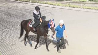 コリアC出走のディクテオンが国内最終追い切り 29日に韓国へ向け出発