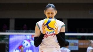 【バレー】蓑輪幸、デンソーエアリービーズに加入！ ロザマリアもプレー継続　SV女子