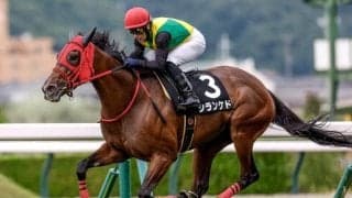 【新潟記念予想】臨戦過程への不安はなし？ サマー2000シリーズ最終戦にAIが指名した馬とは