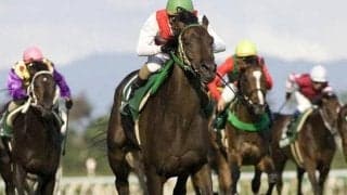 新潟記念唯一の3連単100万超え 武士沢友治騎手とアルコセニョーラの勝利