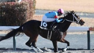 【門別・ブリーダーズGC注目馬】夏の牝馬限定ダートグレード競走 少頭数ながら好メンバー集う