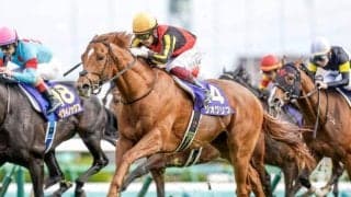 22年皐月賞覇者ジオグリフが抹消 今後は優駿SSで種牡馬入りの予定