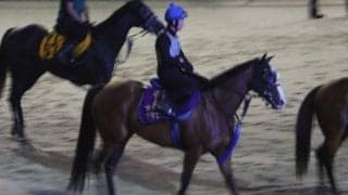 ママコチャ、セントウルS1週前追い切り速報/栗東トレセンニュース