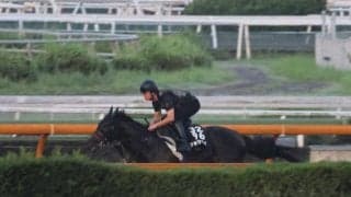 ショウヘイ＆ライトトラック、神戸新聞杯3週前追い切り速報/栗東トレセンニュース