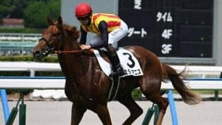 【中京2歳S出走馬・騎手確定】スターアニス＆松山弘平騎手、マイケルバローズ＆岩田望来騎手など13頭