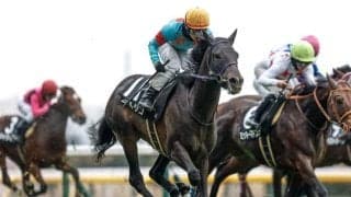 【新潟記念出走馬・騎手確定】エネルジコ＆C.ルメール騎手、クイーンズウォーク＆川田将雅騎手など17頭