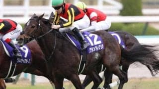 名牝グランアレグリアの初仔 グランマエストロが要注目のデビュー戦だ