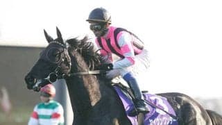 開設60周年を迎える日高育成牧場 GIウイナー含む活躍馬生育の地を紹介