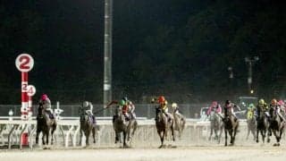 【門別・ブリーダーズGC結果】ライオットガールが豪快に差し切りV！重賞4勝目を挙げる