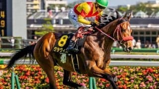 【白川郷S】兄姉に海外G1馬が2頭 グラヴィスが連勝でオープン入りなるか