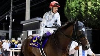 【ブリーダーズGC】武豊「止まり方が今までにない感じだった」オーサムリザルトはまさかの3着