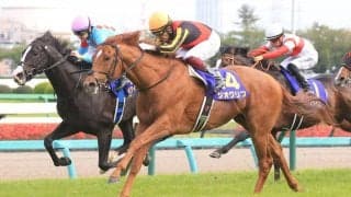 皐月賞馬ジオグリフが競走馬登録を抹消、種牡馬入りへ