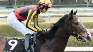 【日本海S】青葉賞3着のゲルチュタールが始動 菊花賞に弾みをつけるか