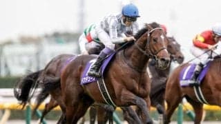 ドウデュースやイクイノックスに会える！ 11月1日・3日に「社台SSに行こう！ バスツアー2025」が開催