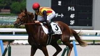 【中京2歳S枠順確定】スターアニスは5枠7番、マイケルバローズは2枠2番