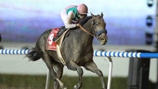 伯父は元賞金王アロゲート コントレイル産駒のレッドラージャがデビュー勝ち狙う