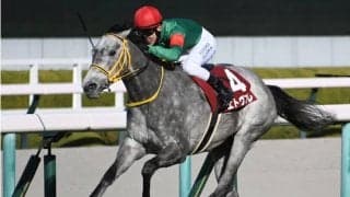 24年フィリーズレビュー覇者エトヴプレが登録抹消 ダーレー・ジャパン・ファームで繁殖入りの予定