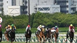 今週末の中京競馬でパドック周回時間を短縮 JRAが暑熱対策を発表