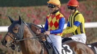 【名古屋城Ｓ】ケンタッキーダービー5着の実力馬 テーオーパスワードが7カ月ぶりの復帰戦だ