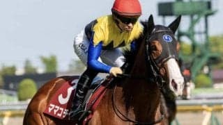 【セントウルS想定馬・騎手】ママコチャ、トウシンマカオなど15頭