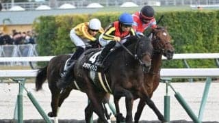 【京成杯AH想定馬・騎手】カラマティアノス、コントラポストなど17頭