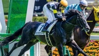 【赤倉特別】セレクト2.9億円のキタサンブラック産駒 アスクセクシーモアが3勝目なるか