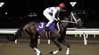 【今日の注目ポイント】名古屋城Sと新潟でグランアレグリアの初仔がデビュー