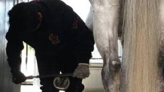 【装蹄師・西内荘コラム】酷暑のトレセンと門別、今週の好感触馬