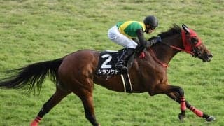 【競馬予想】別定戦となった新潟記念は豪華メンバーが集結　充実の５歳牝馬に一発の期待