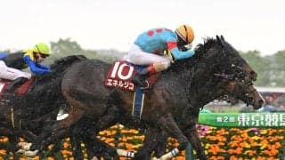 【競馬予想】新潟記念と相性抜群の血統は？　「直近７年で６勝」の好成績を引き継ぎそうな２頭に注目