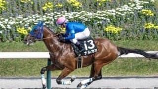 【盛岡・不来方賞枠順】前走5馬身差Vのナルカミは8枠12番 出走12頭