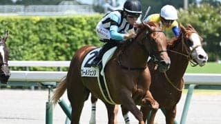 【中京5R新馬戦結果】ミッキーアイル産駒フルールジェンヌが初陣飾る