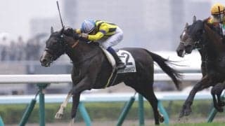 【札幌6R】良血スタードメイソンがゴール前で抜け出す…13番人気の低評価を覆す