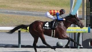 【名古屋城S結果】テーオーパスワードが突き抜け3馬身差快勝
