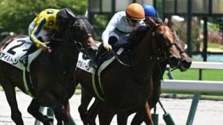 【中京2歳S予想】今年から生まれ変わった2歳限定重賞！ 過去の傾向や前走のレースレベルから軽視したい人気馬は