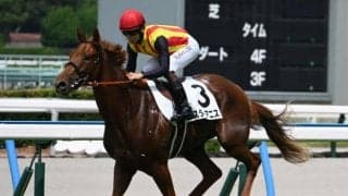 【中京2歳S前日オッズ】スターアニスが2.1倍で1番人気