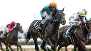 【新潟記念前日オッズ】エネルジコが3.4倍で1番人気