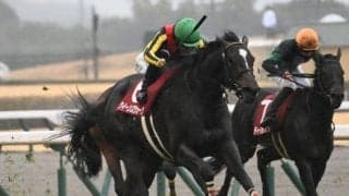 【AI予想・新潟記念】左回りでは大崩れなし！ 秋のビッグタイトル制覇へここは負けられない