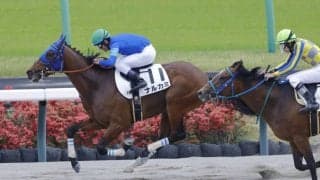 【不来方賞】ナルカミは大外12番へ