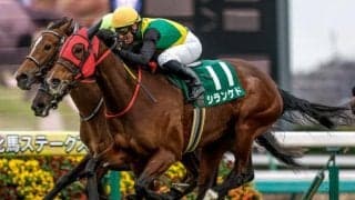 【今日の注目ポイント】開催最終日に新潟記念と中京2歳S