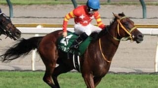 【新潟記念】今年から別定戦に 上がり上位の馬が好走傾向の一戦