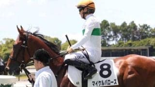 【中京2歳S予想】新設された世代限定重賞 本命馬はコース経験もアドバンテージに