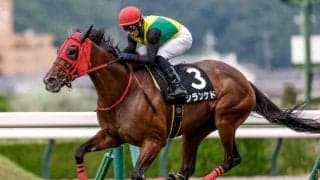 【新潟記念予想】夏の越後路も締めくくり 「サマー2000シリーズ」の最終戦を制すのは