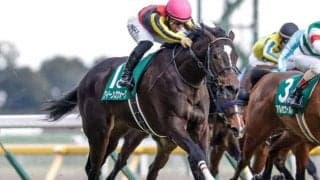 【新潟記念予想】別定戦になって傾向はどうなる!? 過去データから探るGIII新潟記念