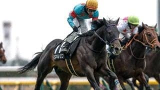 【新潟記念・馬体重】エネルジコは468kg(+12)、シランケドは514kg(+6)