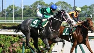 【中京2歳S結果】キャンディードが無傷2連勝、2歳日本レコードで重賞V！